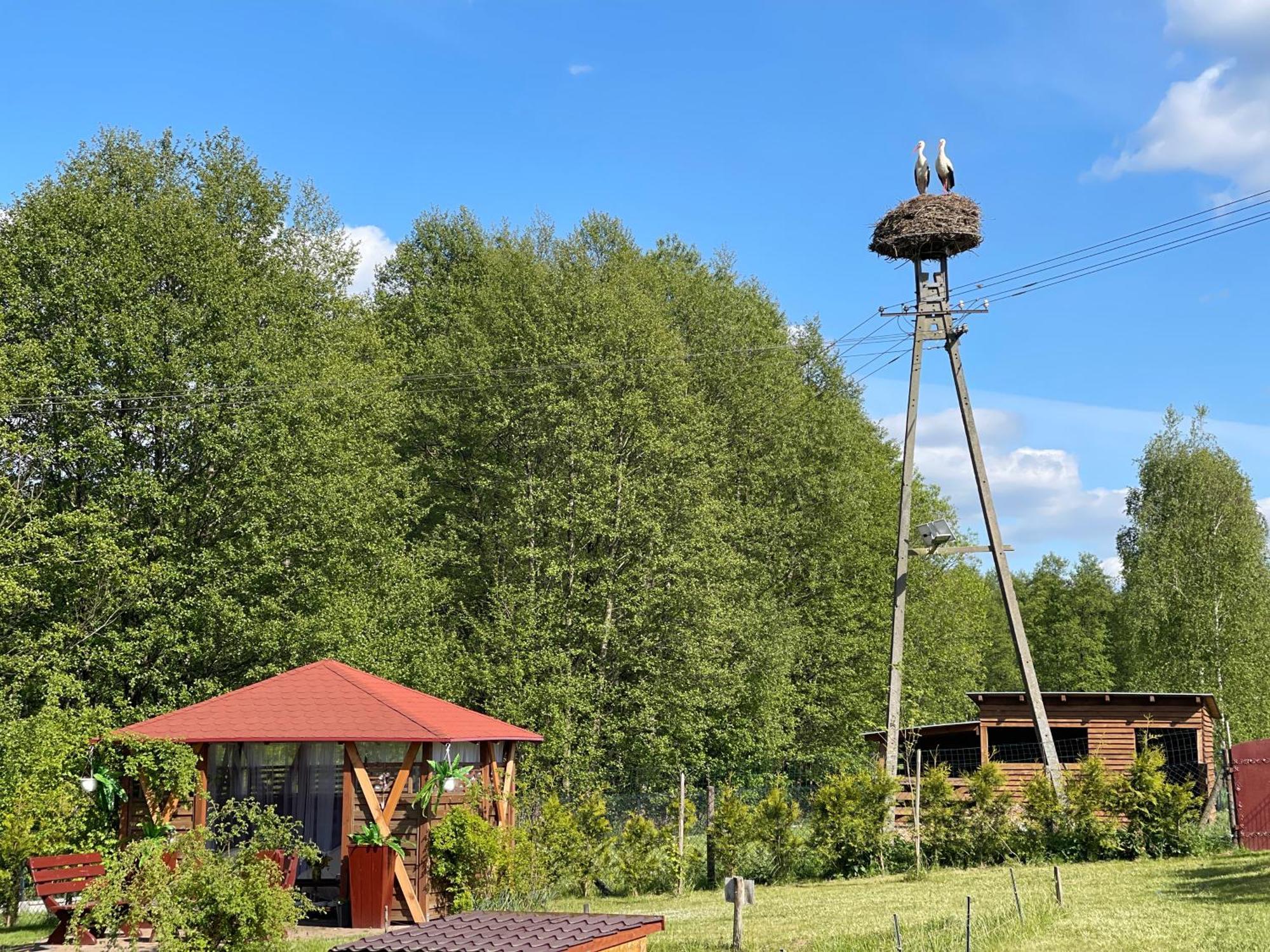 Agro Na Wapniarni Villa Biala  Eksteriør billede